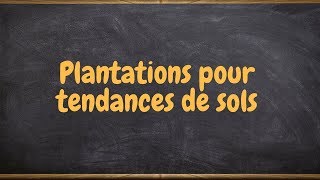 Plantations pour tendances de sols [upl. by Lefty]