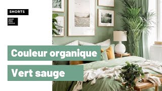 Inspiration couleur organique  Vert sauge [upl. by Eliak241]