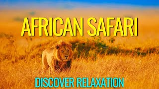 Peaceful African Safari With African Instrumental Music Relaxing Music With African Wildlife [upl. by Lobel]