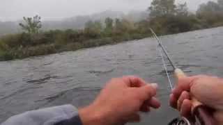 FALL FLY FISHING THE CATSKILLSBIG BROWNS [upl. by Jules]