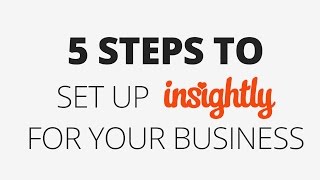 5 Steps to Set Up Insightly for Account OwnersAdmins [upl. by Alejna]