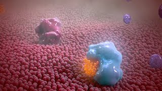 Nonsteroidal Antiinflammatory Drug Animation [upl. by Jaymie]