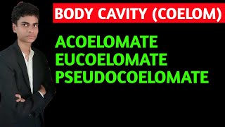 What is body cavity  coelom  Acoelomate pseudocoelomate eucoelomate  All concepts explained [upl. by Xavler]