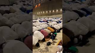 Eya rabbal alamin allahu allah islamick madina makkah [upl. by Siduhey]