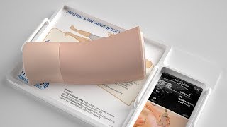 POPLITEAL  IPAC NERVE BLOCK ULTRASOUND SIMULATOR [upl. by Auhoj965]