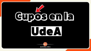 ¿Cuántos cupos abrió la UdeA [upl. by Girhiny]