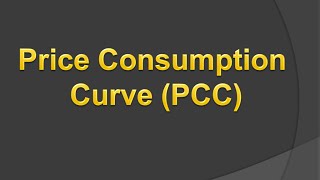 Price Consumption Curve Hindi [upl. by Anailuy]