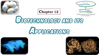 Biotechnology and Its Applications  Part 1 Applications in Agriculture [upl. by Antonin]