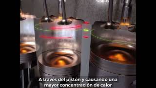 How do FASS Fuel System works  Como funciona la bomba FASS [upl. by Bristow]