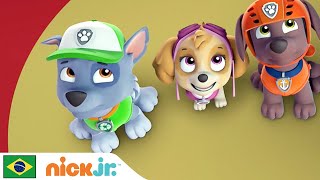 Patrulha Canina  Os filhotes salvam o desfile  Nick Jr em Português [upl. by Kippie]