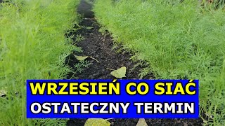 Wrzesień  Ostateczny Termin na Siewy tych Warzyw Co siać i sadzić we Wrześniu Kalendarz Ogrodnika [upl. by Trebor298]