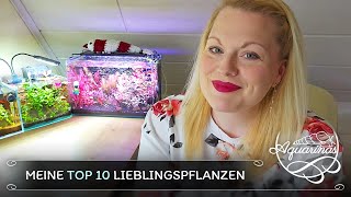 Meine Top 10 Wasserpflanzen für das Aquarium 🔝🔟🌱  Aquarinas Special [upl. by Warp680]