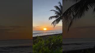 Sunrise at holiday inn kandooma resorts shortvideo travelmaldives sunrise holidayinnmaldives [upl. by Nadnal223]