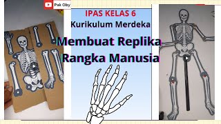 Membuat Replika Rangka Manusia IPAS Kelas 6 SD Kurikulum Merdeka [upl. by Og502]