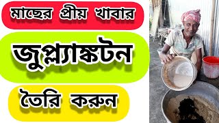 How to Grow Zooplankton in Fish Pond  Bangla [upl. by Bernat740]