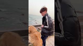 Tomi re notun আবহাওয়া দেখাইলাম shortsfeed dog puppycomedy funnydog vlog pooch funnypet [upl. by Gerda]