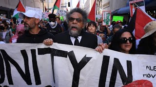 My thoughts about Cornel West becoming President [upl. by Ehling]