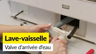 Comment remplacer l’électrovanne sur un lavevaisselle [upl. by Baras]