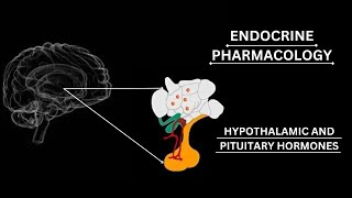 ENDOCRINE PHARMACOLOGY POSTERIOR PITUTARY HORMONES OXYTOCINADHpharmacologykatzunglippincott [upl. by Ynnol385]