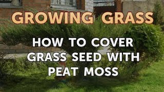 How to Cover Grass Seed With Peat Moss [upl. by Ambrogio]