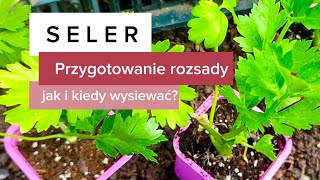 Seler  przygotowanie rozsady 🌱Jak i kiedy wysiewać seler🌱🌱Seler korzeniowy listkowy i naciowy [upl. by Imyaj]