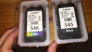 How to change your Printer Ink Canon MG 2950MG2550iP2850MX495  Luisa San Juan [upl. by Ayek]