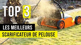 🥇 Le Meilleur Scarificateur de Pelouse  Comparatif  TOP 3 [upl. by Zoha991]