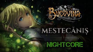 Female Cover BUCOVINA – Mestecăniș NIGHTCORE by ANAHATA  Lyrics [upl. by Nnahsal]