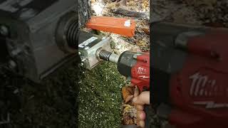 Forstreich tr 24💪 chainsaw woodwork treefalling [upl. by Hirsh464]