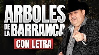 ARBOLES DE LA BARRANCA con LETRA El Coyote y su Banda Viejitas Rancheritas [upl. by Zorana212]