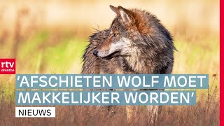 Provincie wil wolfvrije regio amp 1000 bomen gekapt Emmerdennen  Drenthe Nu [upl. by Karsten]