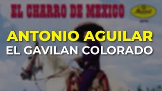 Antonio Aguilar  El Gavilan Colorado Audio Oficial [upl. by Horten342]