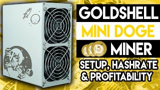 GoldShell Mini DogeCoin Miner Setup Hashrate amp Profitability [upl. by Ringo396]