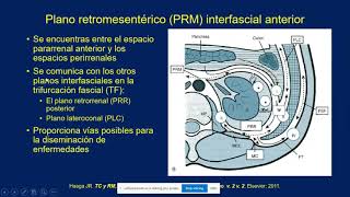 Retroperitoneo [upl. by Wirth]