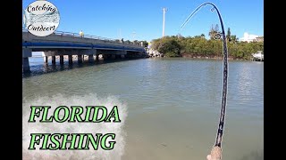 Florida Inshore Fishing Fort Myers amp Sanibel Island MultiSpecies [upl. by Eibo]