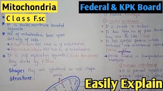 Mitochondria Structure And Functions In Urdu Hindi  Class 11th  Federal Board  KPK Board [upl. by Nehgam]