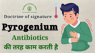 Pyrogenium Doctrine of Signature [upl. by Nagam578]