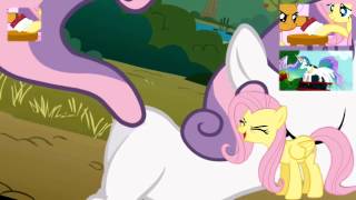 Flutter F Theme from Canterlot Royal Guard No BGM rabiesx86  Pony Dub [upl. by Suhcnip]