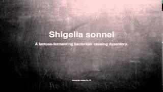 Medical vocabulary What does Shigella sonnei mean [upl. by Airliah471]