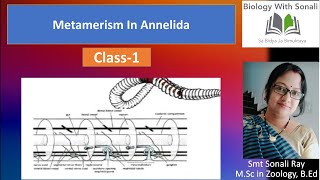 Metamerism In Annelida  Class1  BSc 2nd Semester Zoology  Non Chordates biologywithsonali [upl. by Amarillas6]