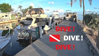 Elbow Reef Dive in Key Largo FL With Quiescence Diving Services [upl. by Annodahs820]