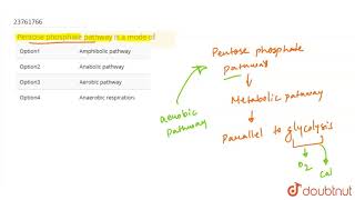 Pentose phosphate pathway is a mode of  12  RESPIRATION  BIOLOGY  DINESH PUBLICATION  Doub [upl. by Howarth]