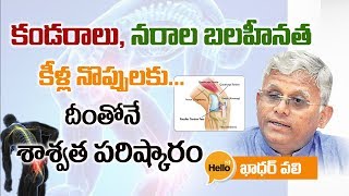 కండరాలు నరాలు కీళ్ళ వ్యాధులకు దీంతోనే శాశ్వత పరిష్కారంNerve Weakness khadarvali Hello TV Telugu [upl. by Antin529]