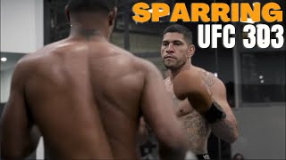 Anaylsing Pereira Sparring Session 12 Days From UFC 303 [upl. by Niwle68]