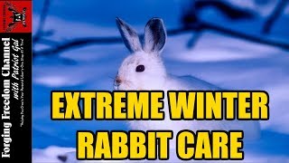 How to Raise Rabbits in Winter [upl. by Ereveneug]