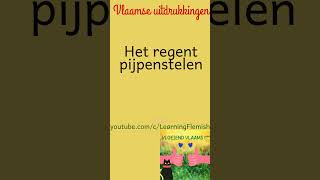 Het regent pijpenstelen Vlaamse uitdrukkingen flemish vlaams [upl. by Brian939]