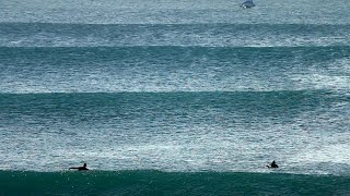 Paddle Battle At Padang Padang  2 September 2019 [upl. by Amary]