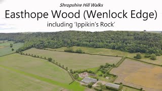 Easthope Wood Wenlock Edge Ippikins Rock  Shropshire Hill Walks 106130 Highest Shr Hills AONB [upl. by Nesahc813]