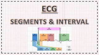 ECG  Segments Intervals J Point Corrected QT Interval PR Interval ST Segment [upl. by Noiz]