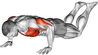 5 Best PushUps Variations For Muscle Strength [upl. by Kram]